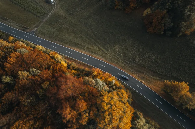 Diagonale Straße zwischen Herbstbäumen