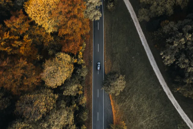 Straße und Laubwald von oben