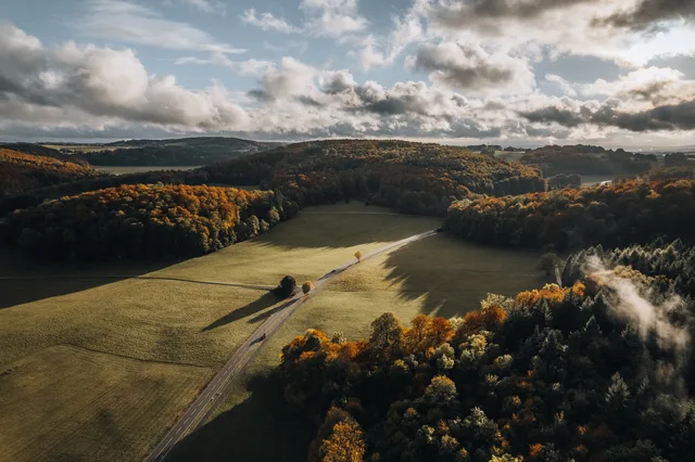 Gegenlicht über Feldern und Wald