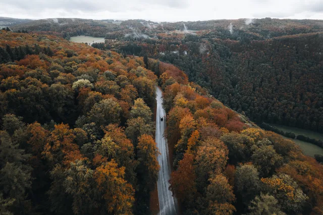 Straße im Tal zwischen bunten Wäldern
