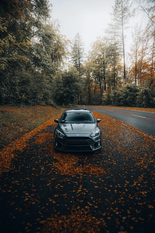 Focus RS auf einer Straße voller Laub