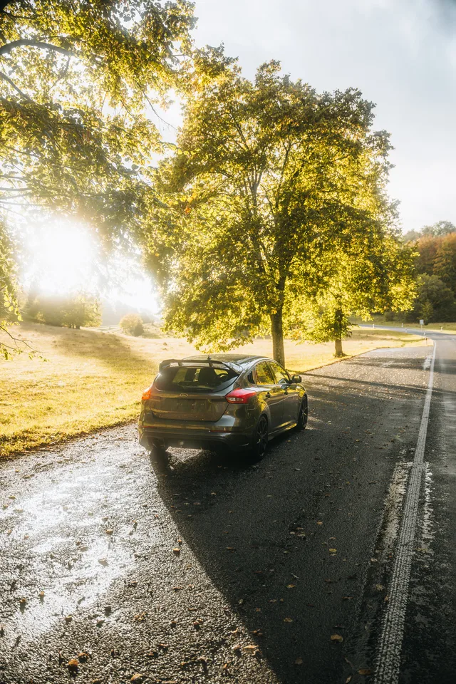Focus RS im Gegenlicht unter einem Herbstbaum