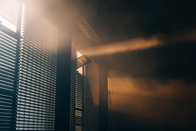 Lichtbahnen fallen durch den Nebel
