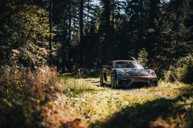 Kupferfarbener Porsche am Waldrand