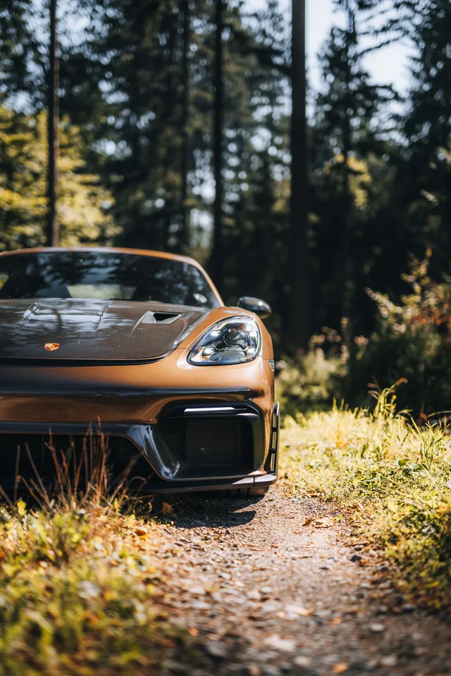 Front des kupferfarbenen Porsche im Gras