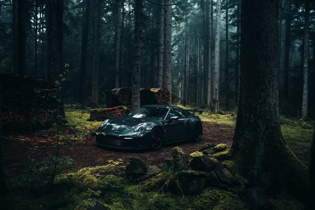 Der dunkel petrolblaue Porsche zwischen den Bäumen