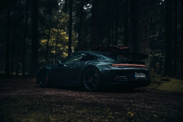 Dunkel petrolblauer Porsche im Wald