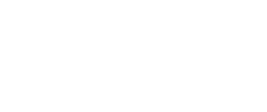 Fusion Skin