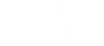 Fusion Skin